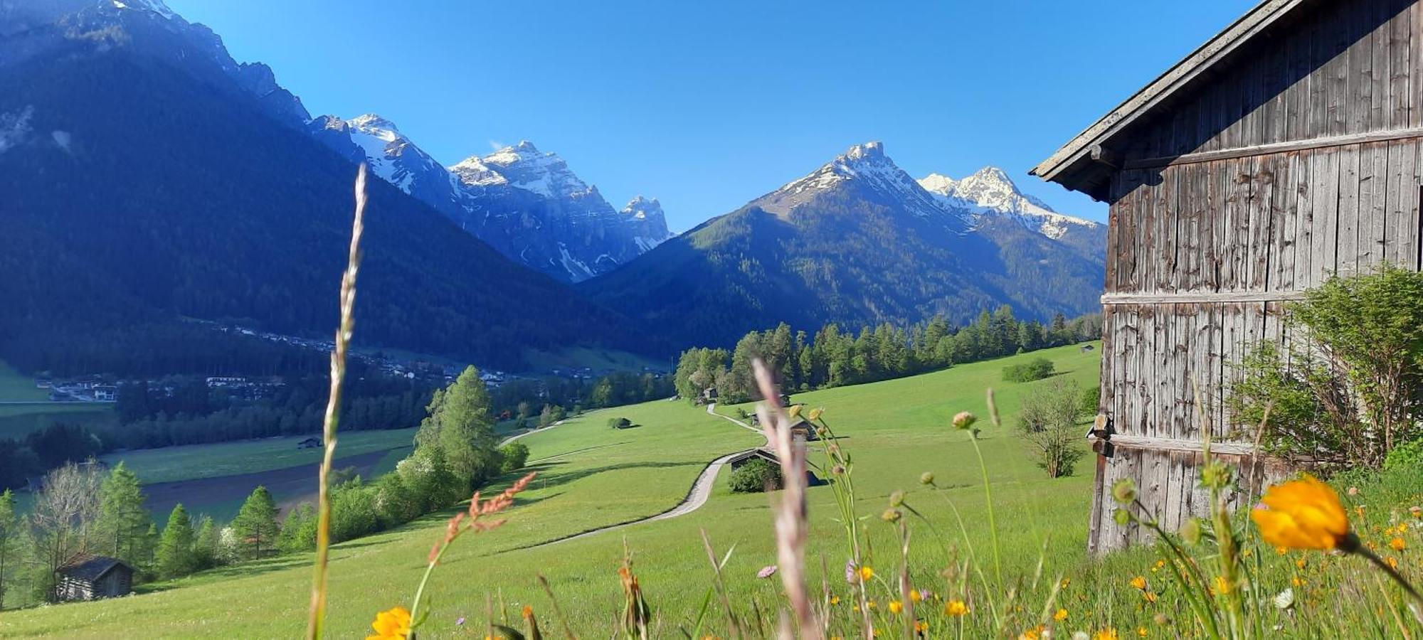 Apartment Peer Neustift im Stubaital Exterior foto