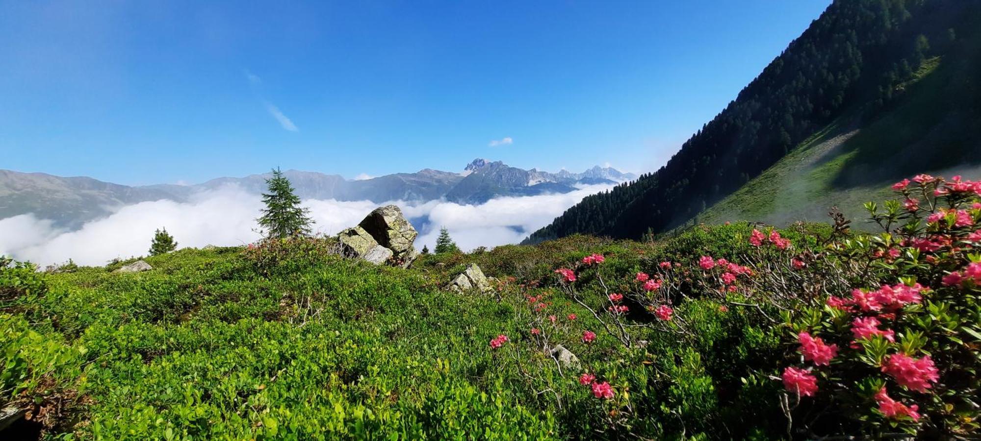 Apartment Peer Neustift im Stubaital Exterior foto